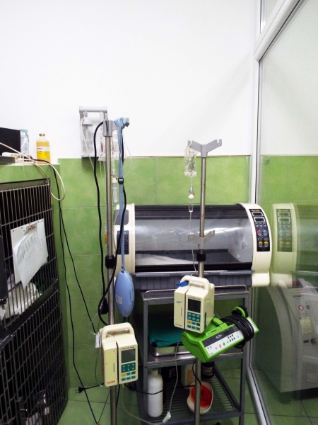 Cabinet veterinar Iraida Vet